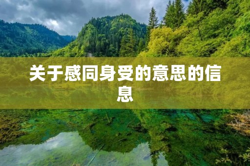 关于感同身受的意思的信息
