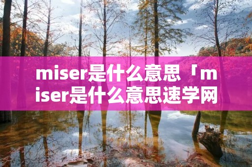 miser是什么意思「miser是什么意思速学网」