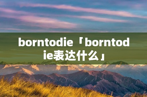 borntodie「borntodie表达什么」