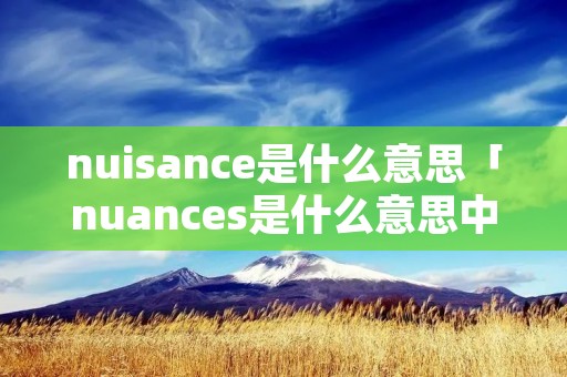 nuisance是什么意思「nuances是什么意思中文」