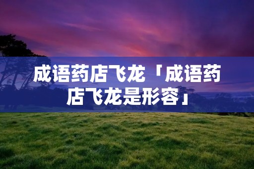 成语药店飞龙「成语药店飞龙是形容」