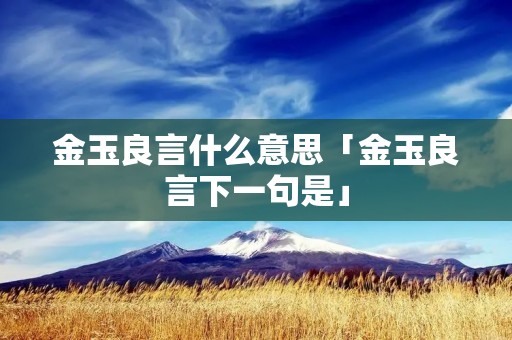 金玉良言什么意思「金玉良言下一句是」