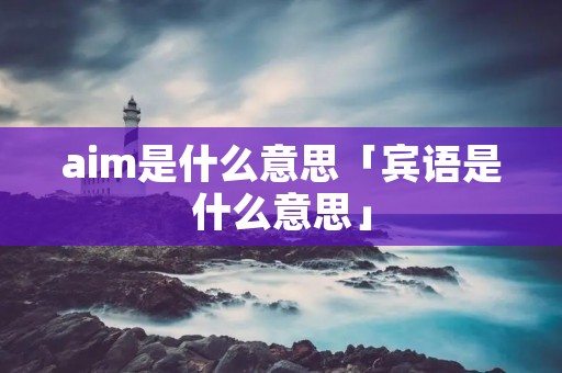 aim是什么意思「宾语是什么意思」