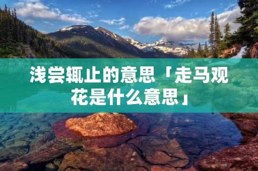 浅尝辄止的意思「走马观花是什么意思」