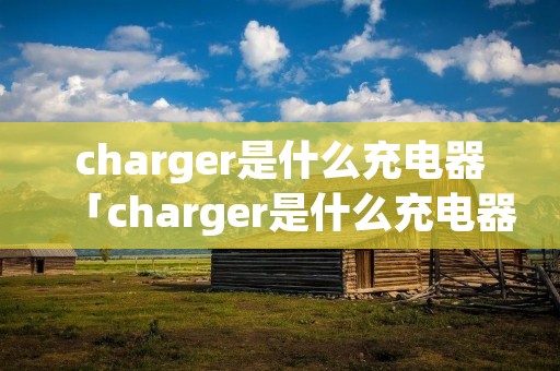 charger是什么充电器「charger是什么充电器 li10cs」