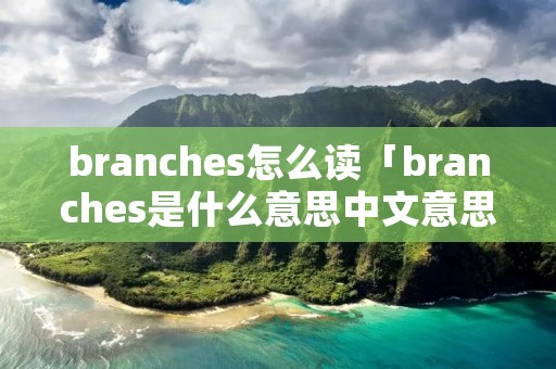branches怎么读「branches是什么意思中文意思」 branches怎么读「branches是什么意思中文意思」