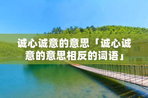 诚心诚意的意思「诚心诚意的意思相反的词语」