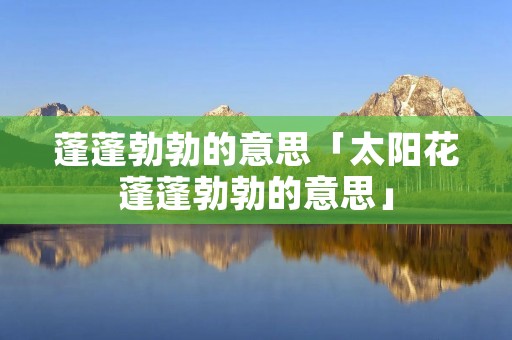 蓬蓬勃勃的意思「太阳花蓬蓬勃勃的意思」