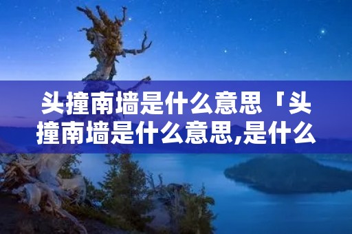头撞南墙是什么意思「头撞南墙是什么意思,是什么生肖」