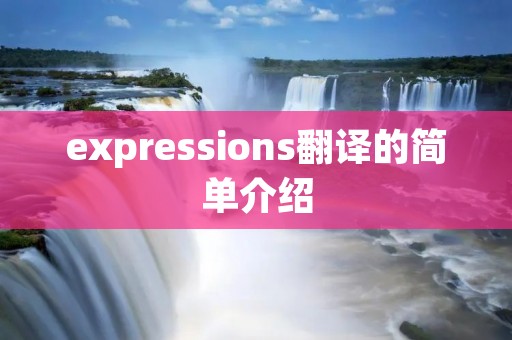 expressions翻译的简单介绍 expressions翻译的简单介绍