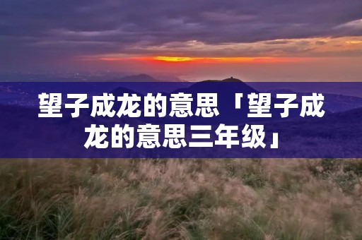 望子成龙的意思「望子成龙的意思三年级」