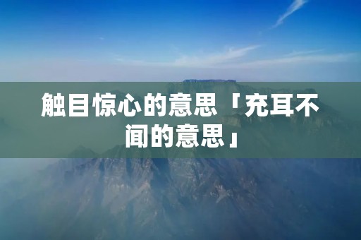触目惊心的意思「充耳不闻的意思」