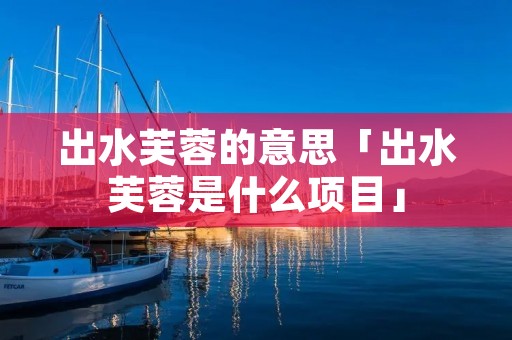 出水芙蓉的意思「出水芙蓉是什么项目」