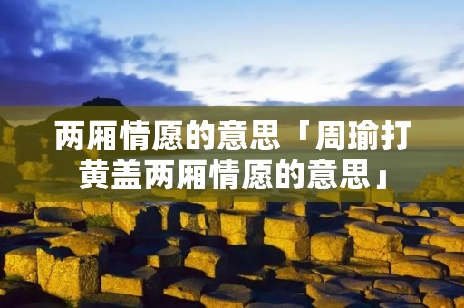 两厢情愿的意思「周瑜打黄盖两厢情愿的意思」