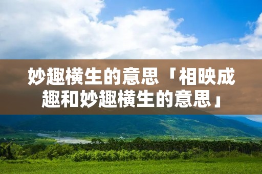 妙趣横生的意思「相映成趣和妙趣横生的意思」