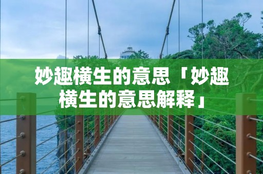 妙趣横生的意思「妙趣横生的意思解释」