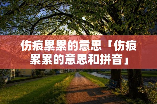 伤痕累累的意思「伤痕累累的意思和拼音」