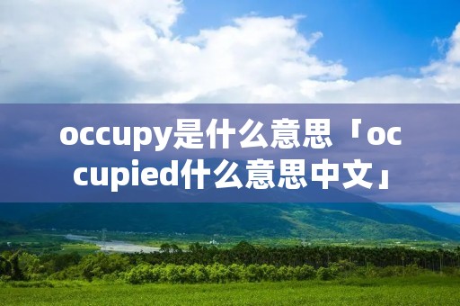 occupy是什么意思「occupied什么意思中文」