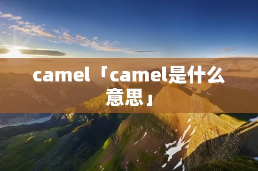 camel「camel是什么意思」