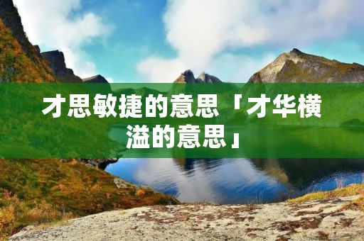 才思敏捷的意思「才华横溢的意思」