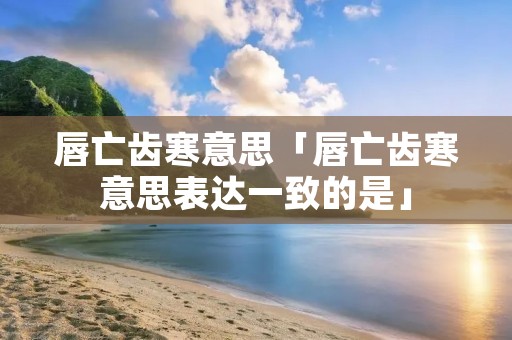 唇亡齿寒意思「唇亡齿寒意思表达一致的是」