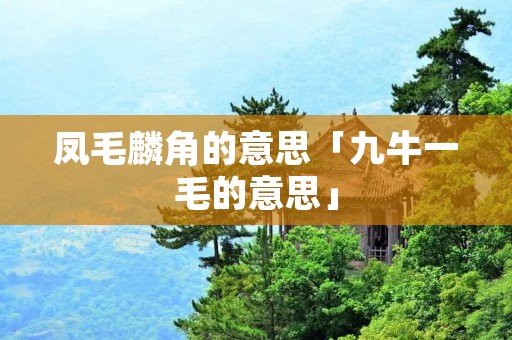 凤毛麟角的意思「九牛一毛的意思」