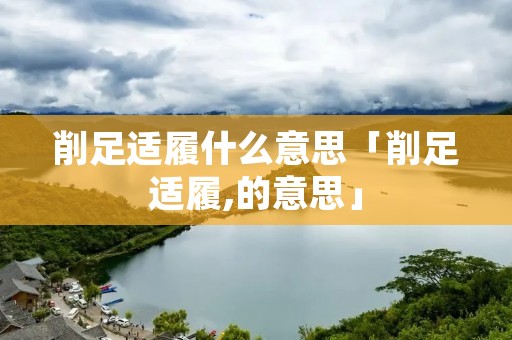 削足适履什么意思「削足适履,的意思」