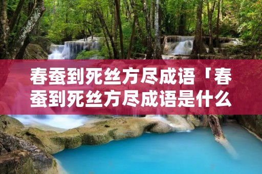 春蚕到死丝方尽成语「春蚕到死丝方尽成语是什么」