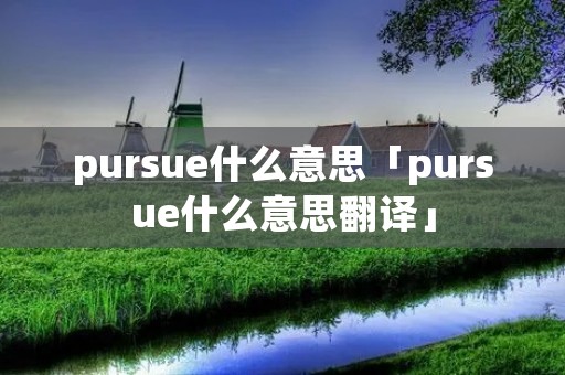 pursue什么意思「pursue什么意思翻译」