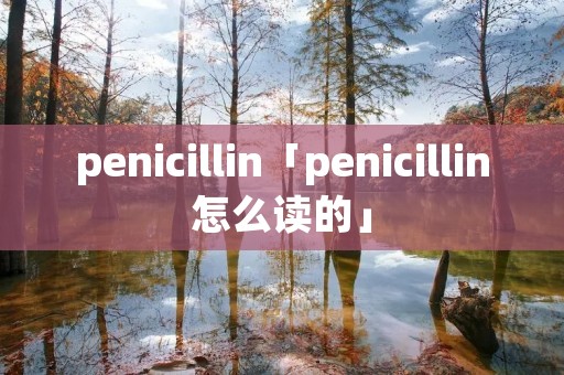penicillin「penicillin怎么读的」