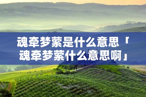 魂牵梦萦是什么意思「魂牵梦萦什么意思啊」