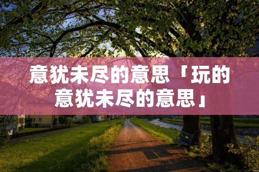 意犹未尽的意思「玩的意犹未尽的意思」