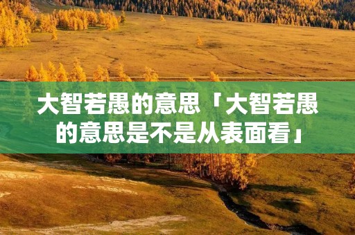 大智若愚的意思「大智若愚的意思是不是从表面看」