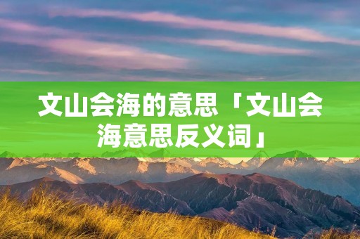 文山会海的意思「文山会海意思反义词」