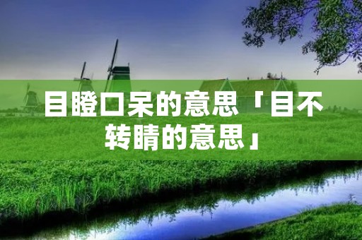 目瞪口呆的意思「目不转睛的意思」