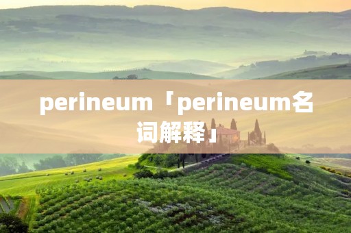 perineum「perineum名词解释」 perineum「perineum名词解释」