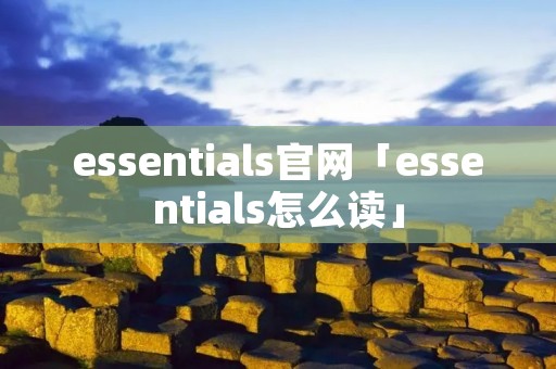 essentials官网「essentials怎么读」