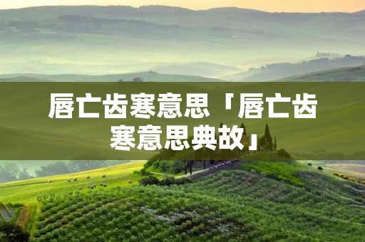 唇亡齿寒意思「唇亡齿寒意思典故」