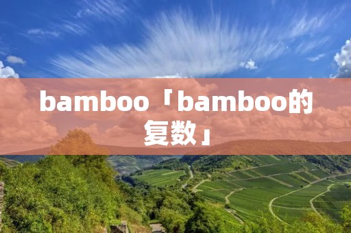 bamboo「bamboo的复数」