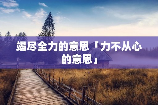 竭尽全力的意思「力不从心的意思」