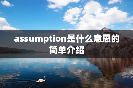 assumption是什么意思的简单介绍 assumption是什么意思的简单介绍