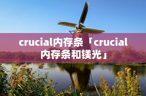 crucial内存条「crucial内存条和镁光」