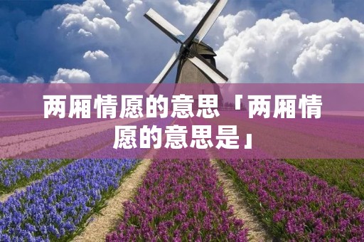 两厢情愿的意思「两厢情愿的意思是」