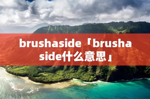 brushaside「brushaside什么意思」