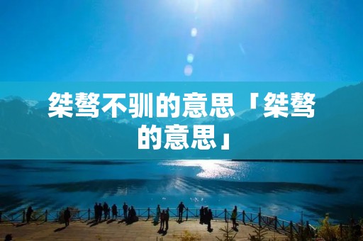 桀骜不驯的意思「桀骜的意思」