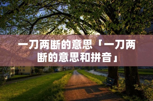 一刀两断的意思「一刀两断的意思和拼音」