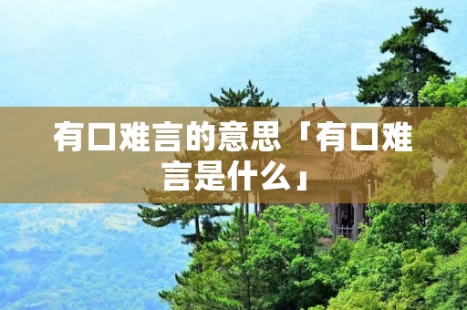 有口难言的意思「有口难言是什么」