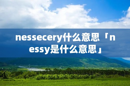 nessecery什么意思「nessy是什么意思」