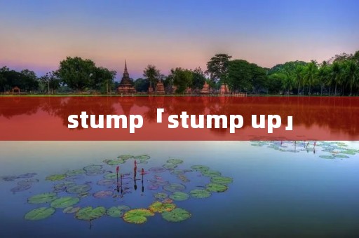 stump「stump up」 stump「stump up」