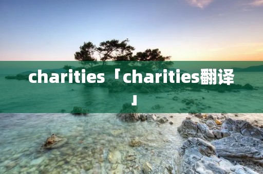 charities「charities翻译」